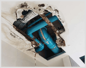 Plumbing Leakage