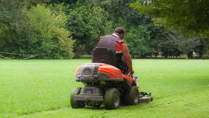 Theft Covered Insurance