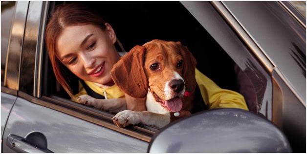 title-img-2 Auto Insurance Broker