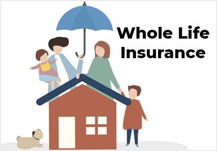 Whole Life Insurance